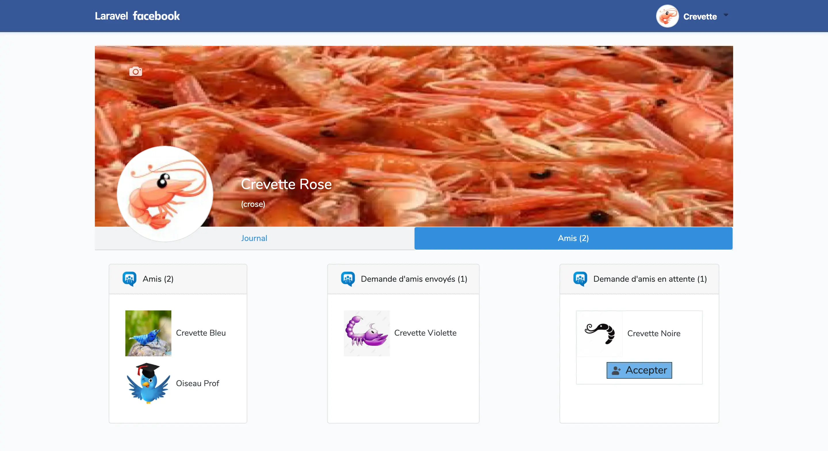 Page Profil Amis